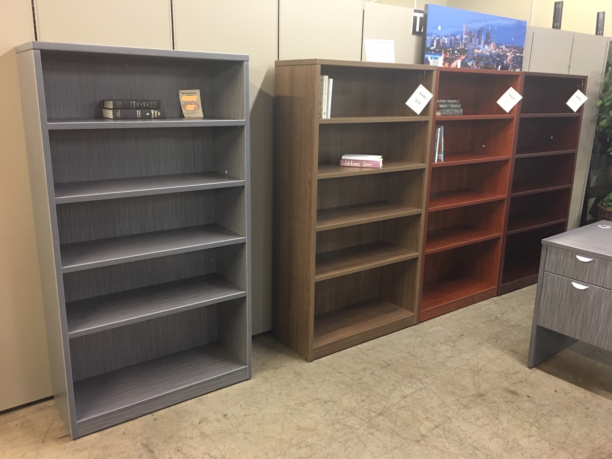 Bookcases in Office Overlooking City